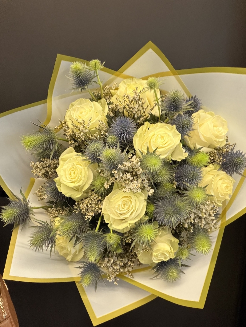 Mondial Eryngium