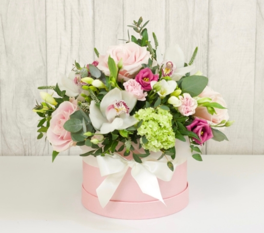Darcy Hatbox
