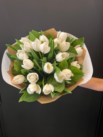 snow tulip