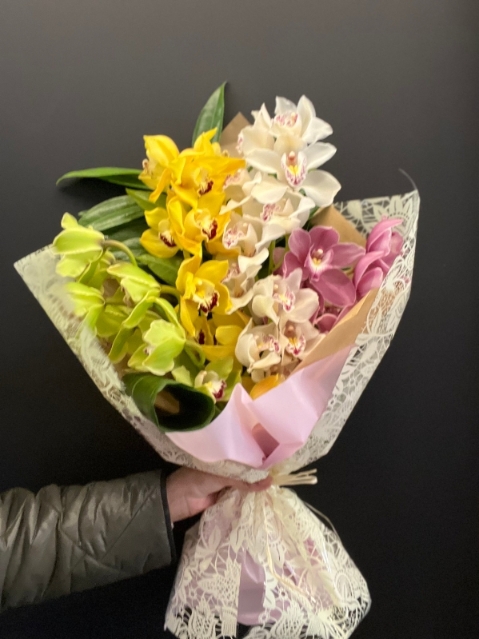 Orchid lover