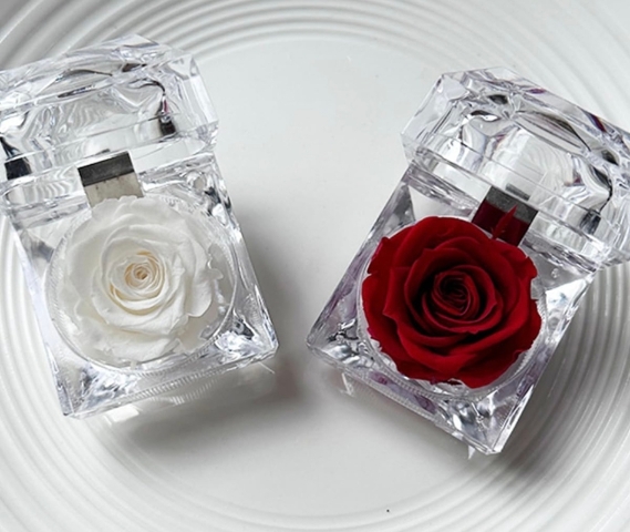 Preserved Rose in Jewellery Box