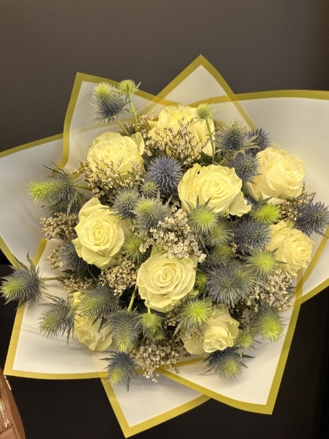 Mondial Eryngium